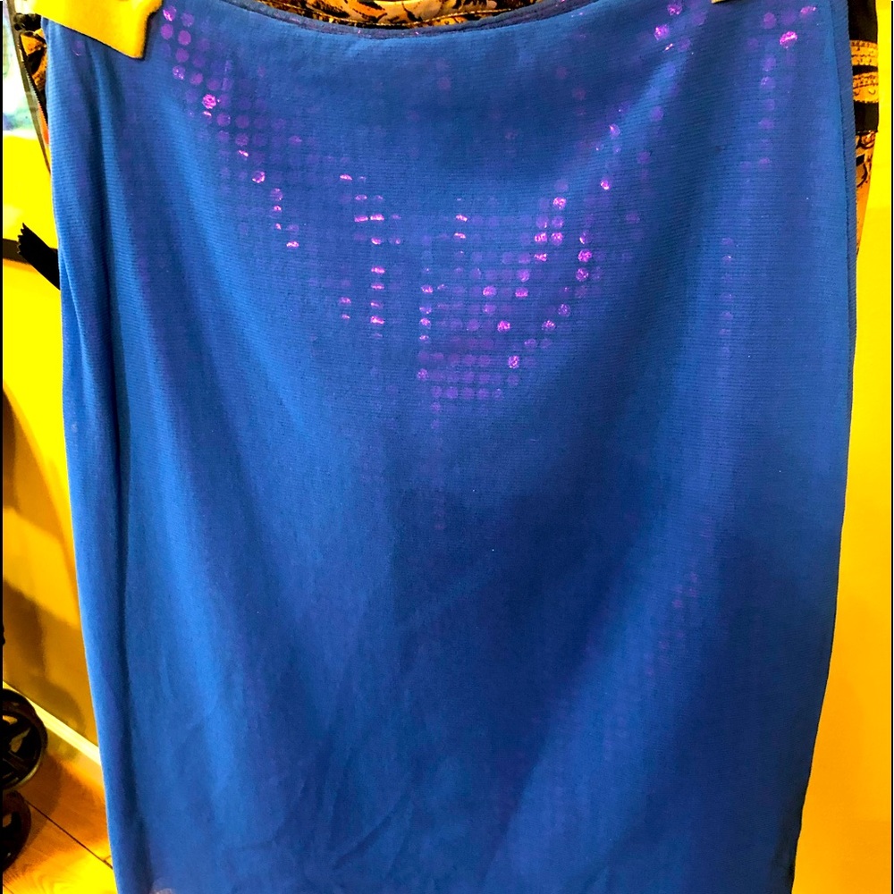 Vivienne Tam Vintage Blue and Metallic Purple underneath Skirt. Size XS.